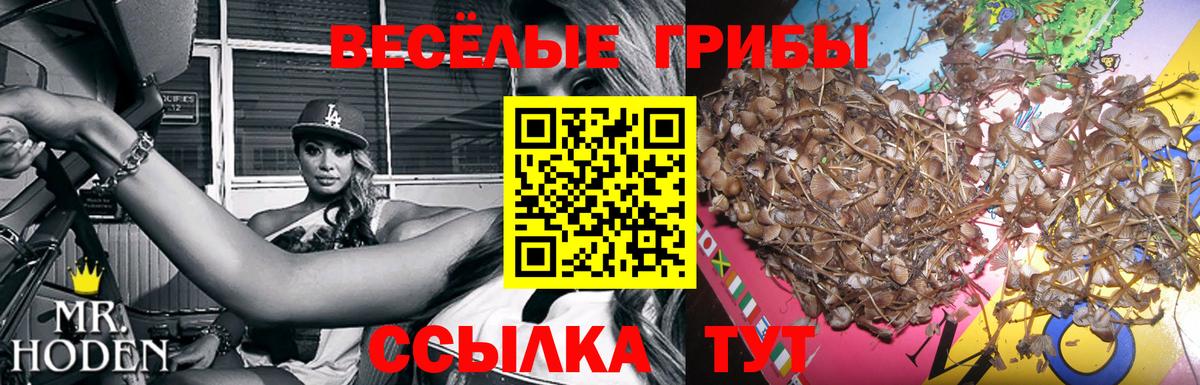 сколько стоит  Вход с VPN  Домодедово  Галлюциногенные грибы MAGIC MUSHROOMS 